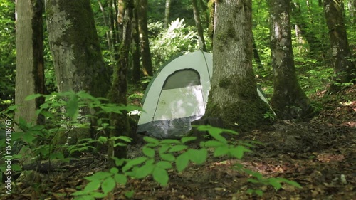 White and green camping tent nestled among lush forest trees, embodying peaceful outdoor tranquility and wilderness adventure