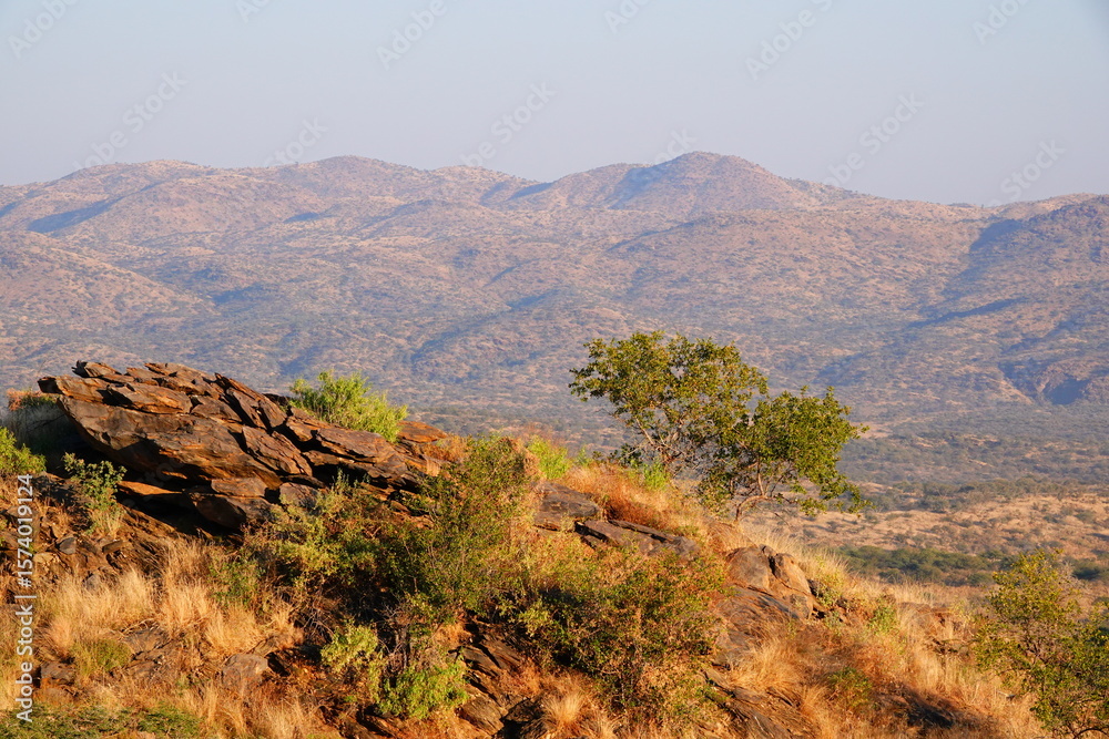 Naklejka premium Big tree growing on rocks in a mountain landscape.