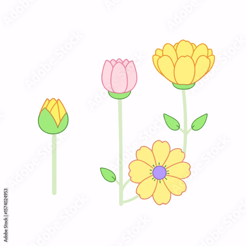 set of yellow tulips