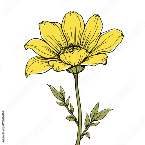 yellow flower, vector