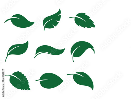 Green Leaf Silhouettes on White Background leaves foliage