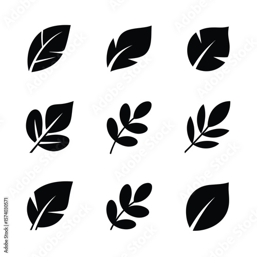 Nine Black Leaf Silhouettes on White Background leaves