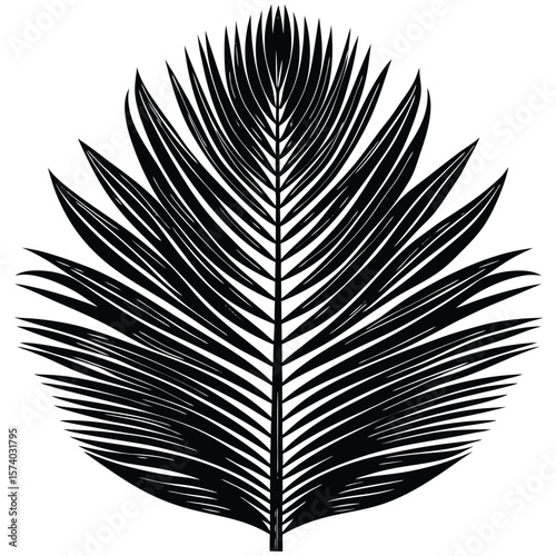 Black palm frond silhouette with detailed leaf veins