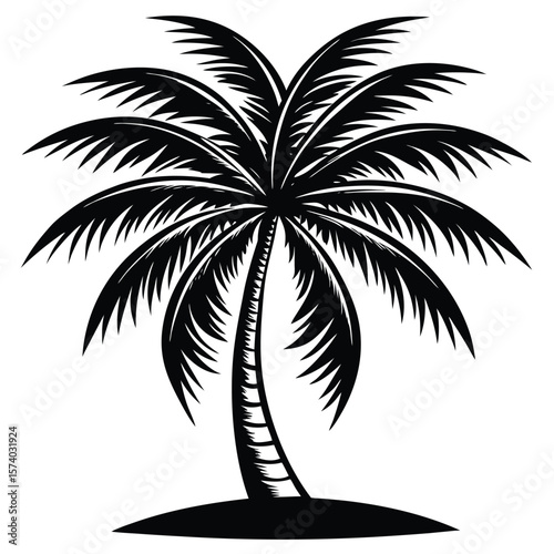 Striking black palm tree silhouette on a white background