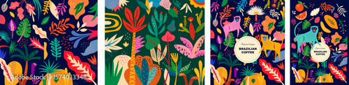 Vector colorful illustrations with tropical flowers, leaves. Brazil tropical patterns. Package design
