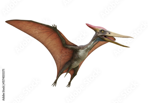 Pterosaur in Flight isolated on transparent background