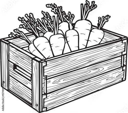Freshly harvested carrots in a wooden crate ready for sale