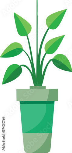 Simple green houseplant in a modern pot