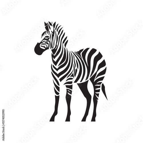 Zebra standing elegantly in monochrome design for modern decor