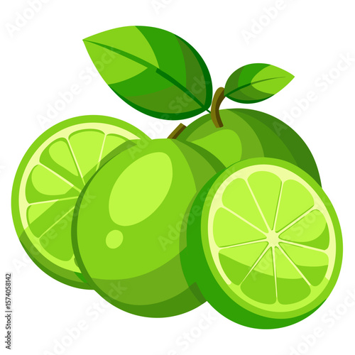 Fresh Green Limes with Slices and Leaves - Citrus Fruit Vector