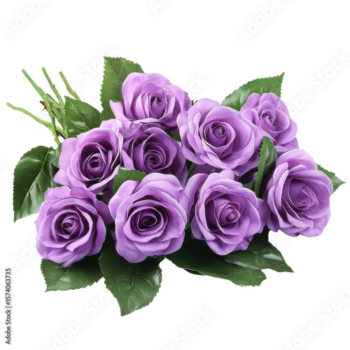 Fototapeta Naklejka Na Ścianę i Meble -  Purple roses in a bunch on Transparent Background.