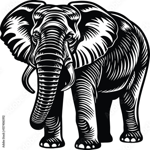 elephant isolated on white