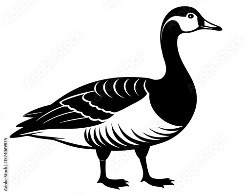 barnacle goose vector black animal silhouette