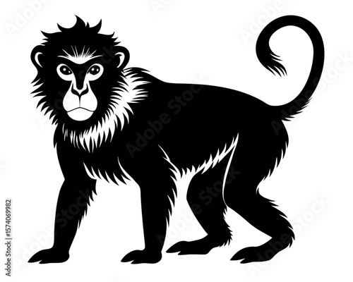 barbary macaque vector black animal silhouette