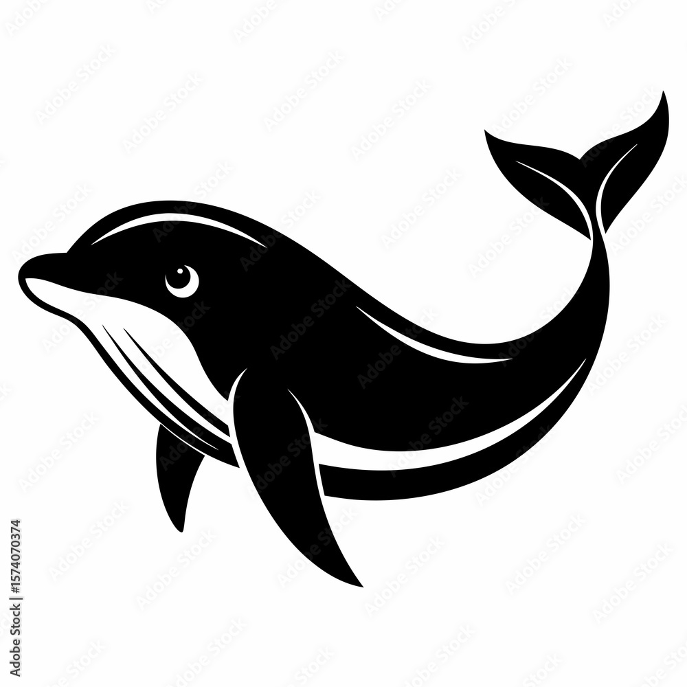 Fototapeta premium dolphin isolated on white