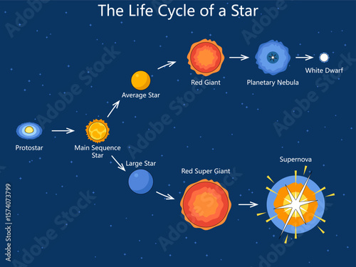 star formation and evolution stages including protostar, red giant, supernova, white dwarf, and more diagram hand drawn schematic vector. Science educational illustration
