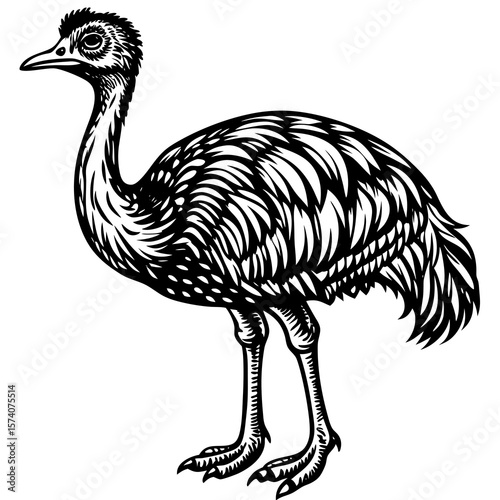 ostrich cartoon coloring page