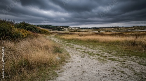 A dirt road winds through a grassy field under a dramatic, overcast sky, leading towards a distant, sandy landscape