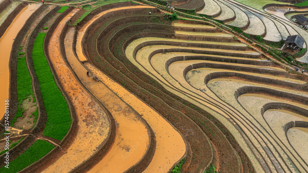 Obraz premium Hmong farmers prepare their fields and plant rice on terraced fields in Mu Cang Chai, Yen Bai. Photo taken in Yen Bai on June 22, 2025.