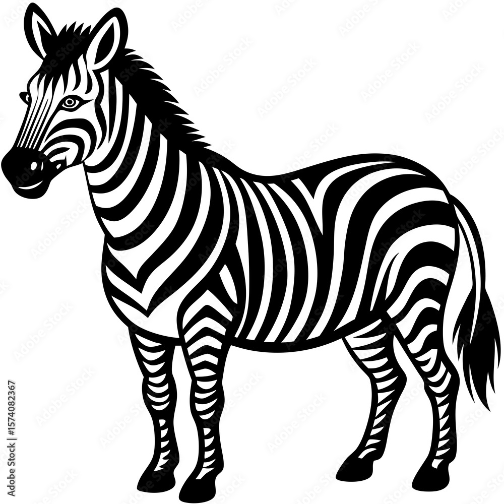 Fototapeta premium zebra vector illustration