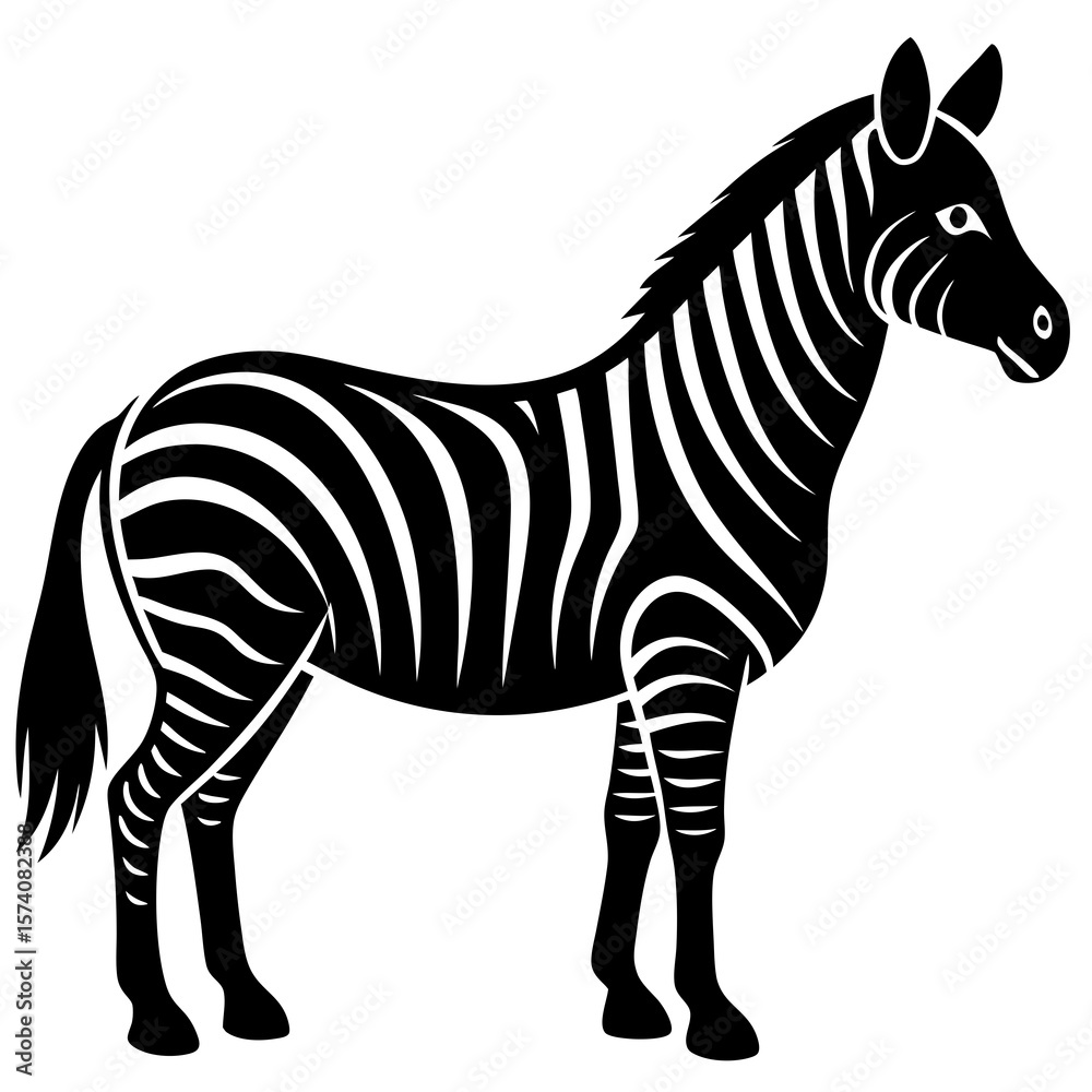 Obraz premium zebra vector illustration