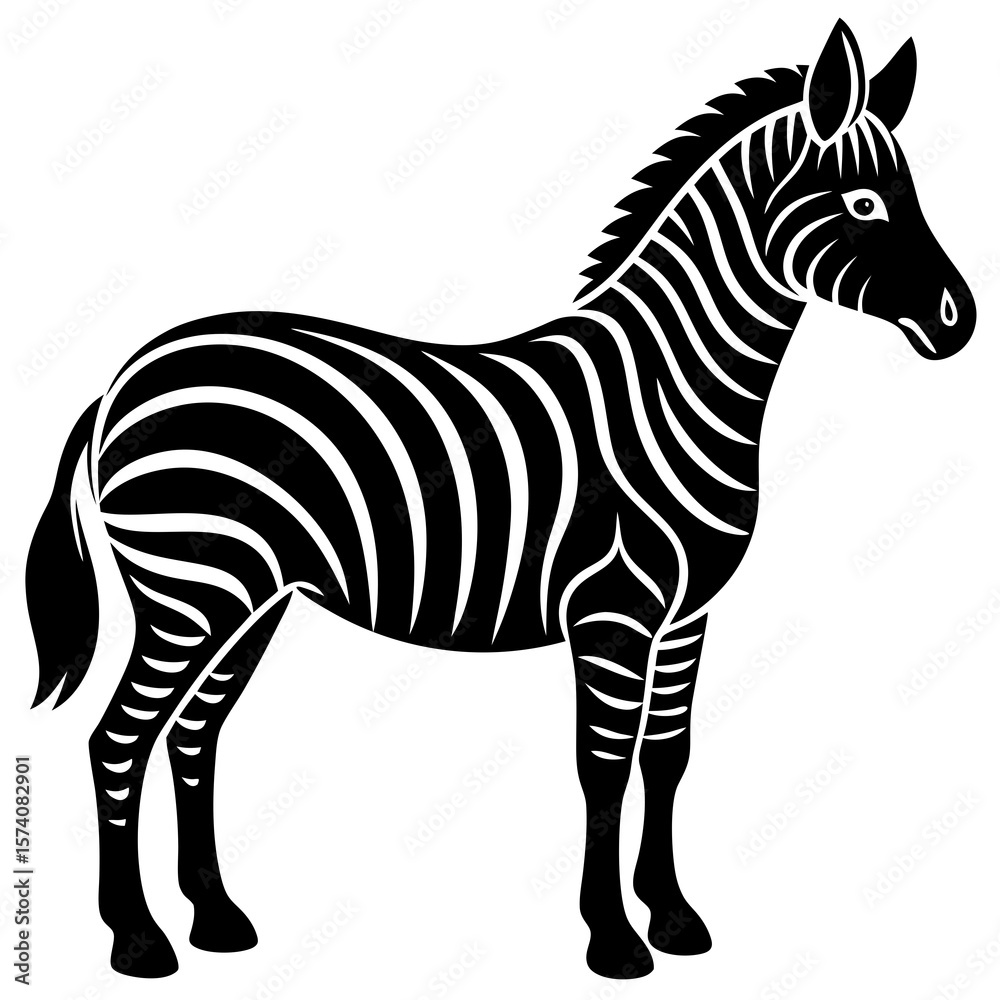 Obraz premium zebra vector illustration