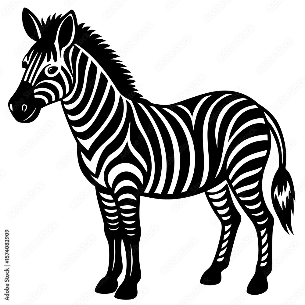 Obraz premium zebra vector illustration