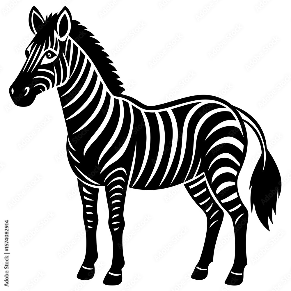 Obraz premium zebra vector illustration