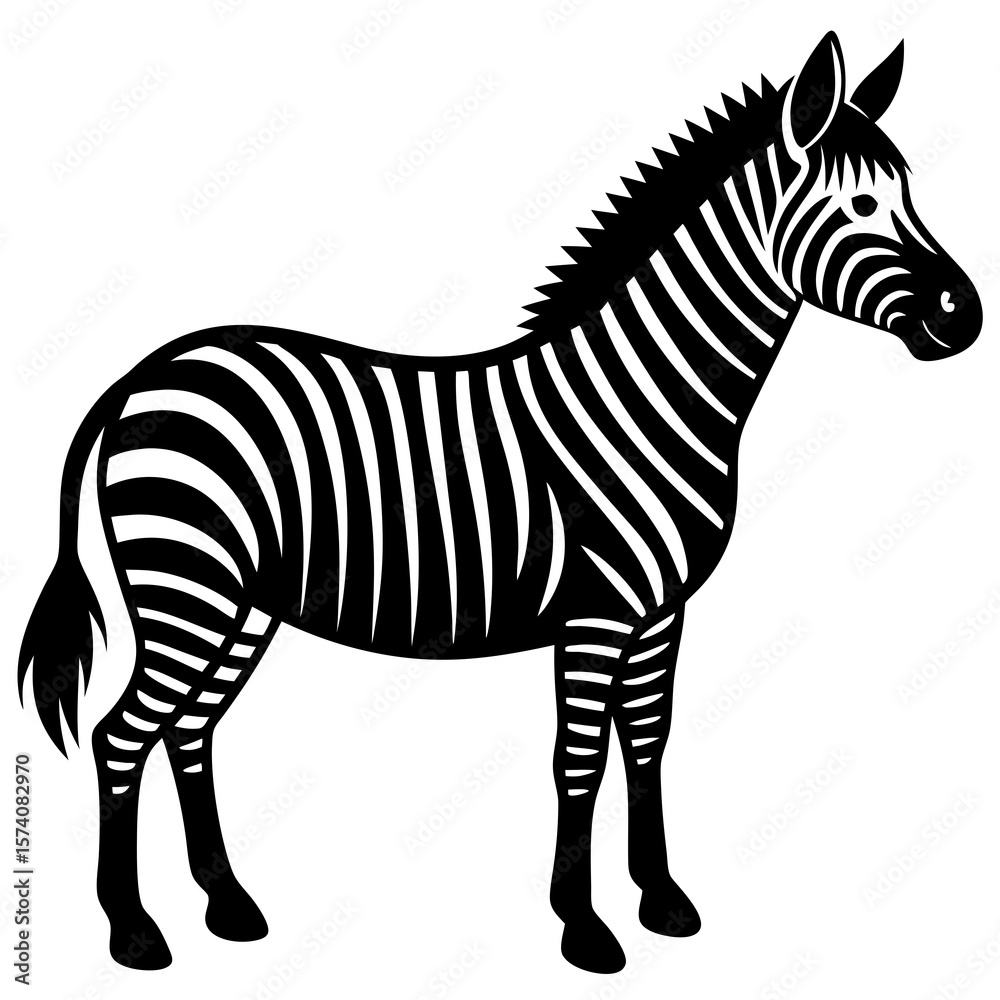 Obraz premium zebra vector illustration
