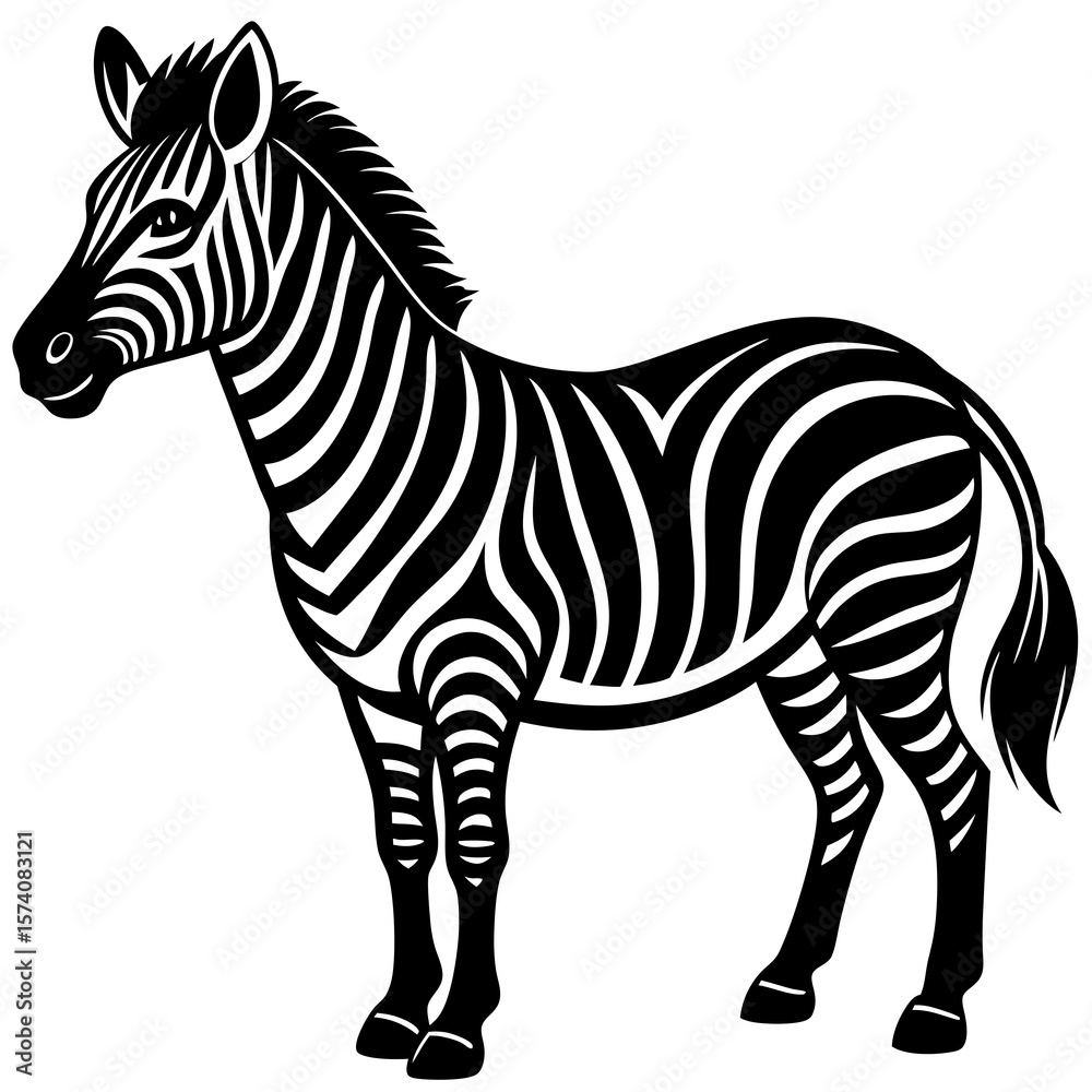 Fototapeta premium zebra vector illustration