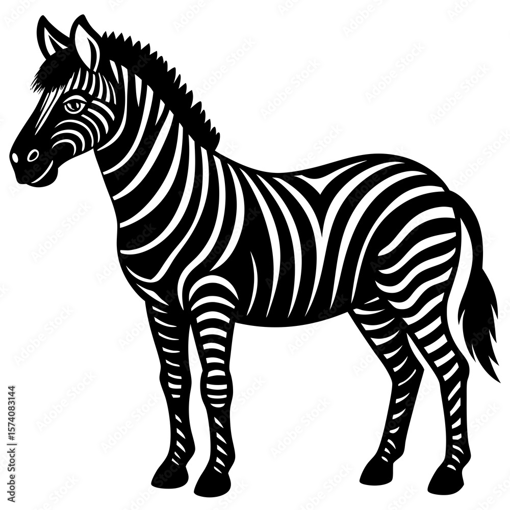 Obraz premium zebra vector illustration