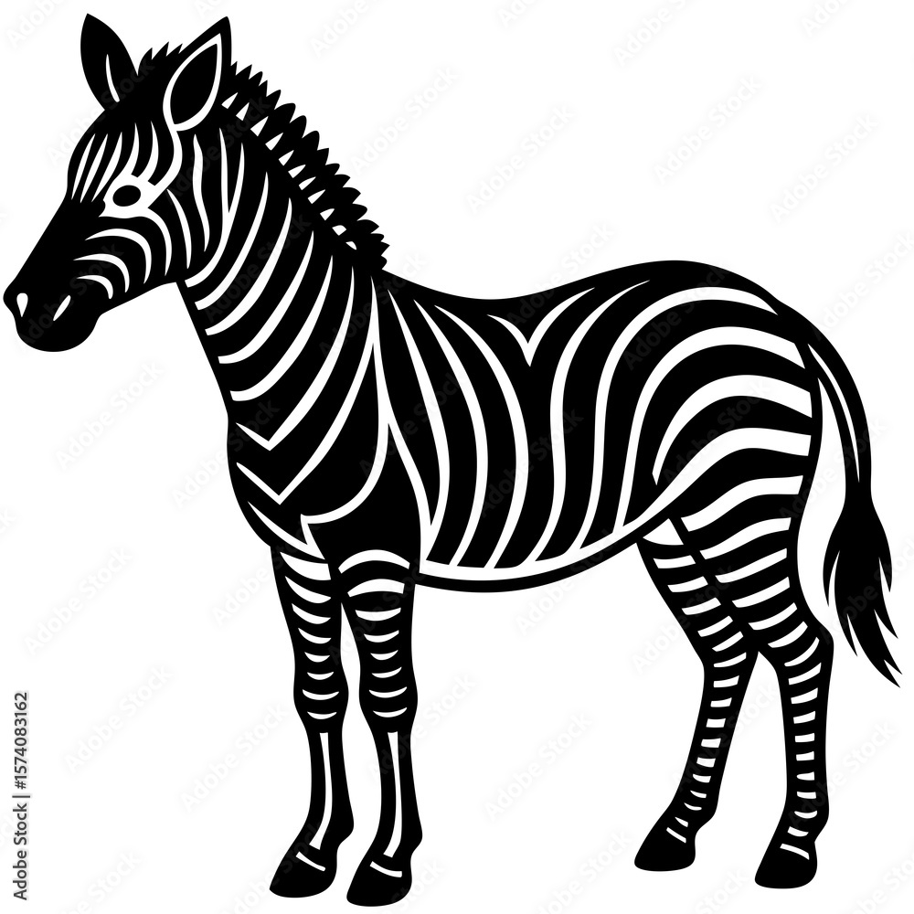 Obraz premium zebra isolated on white