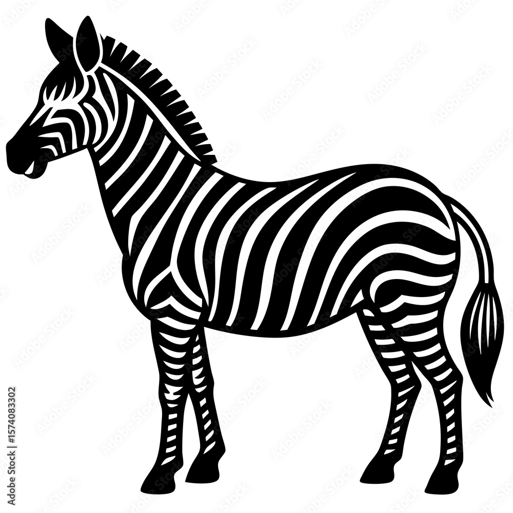 Obraz premium zebra vector illustration