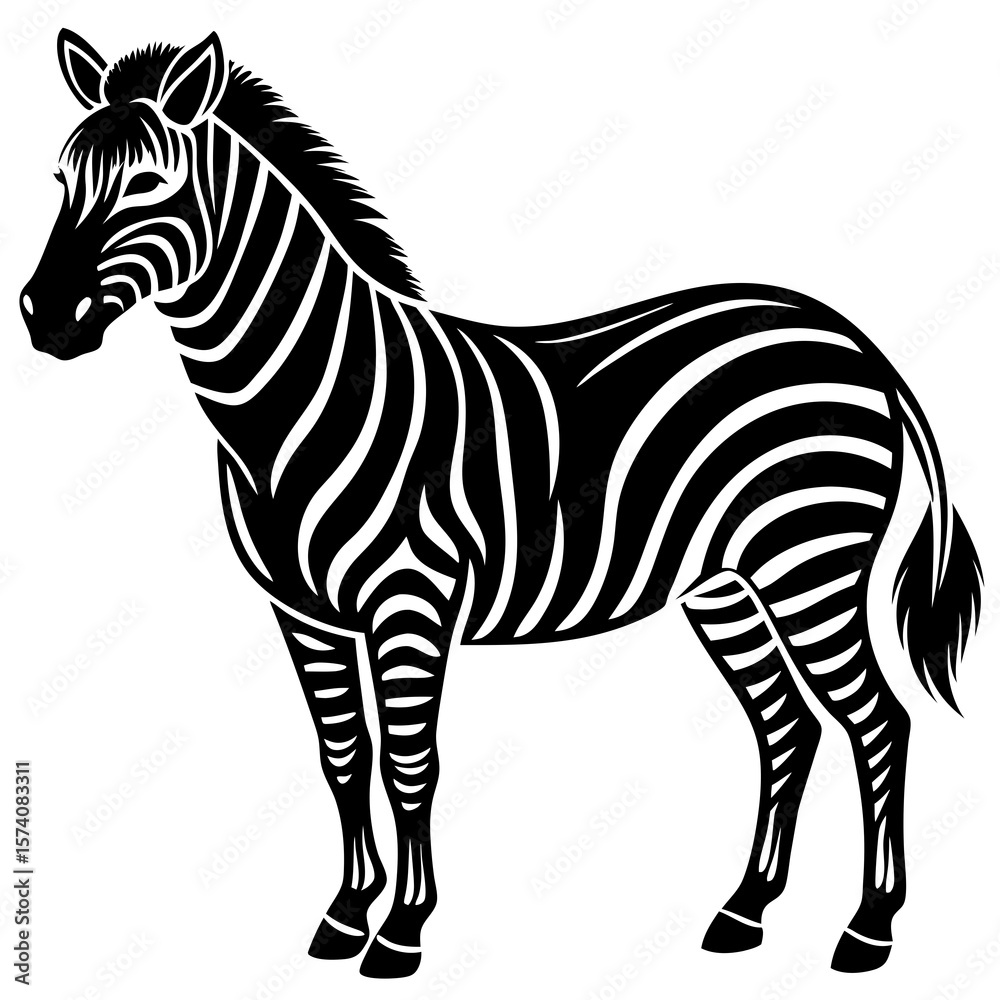 Fototapeta premium zebra vector illustration