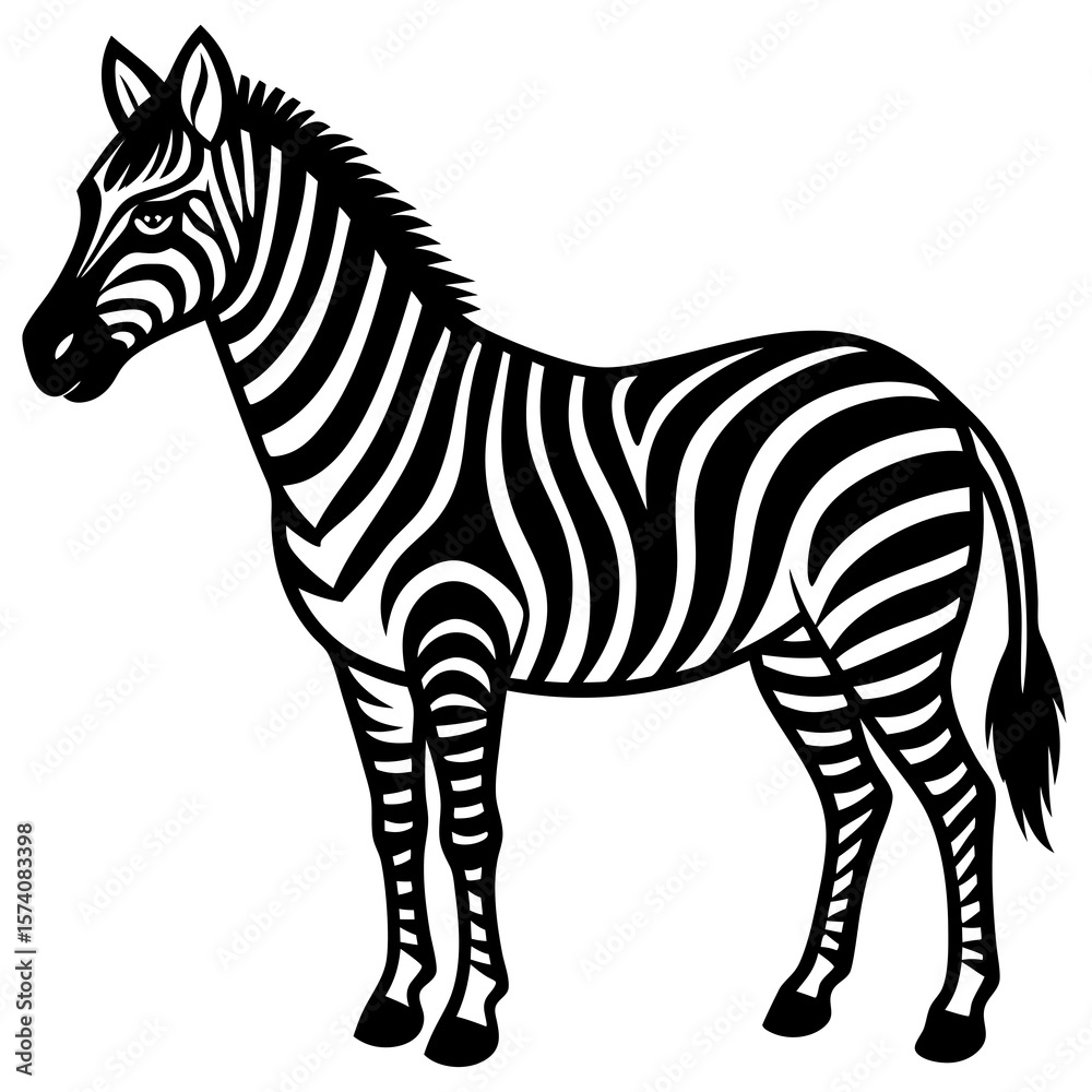 Fototapeta premium zebra isolated on white