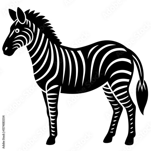 zebra vector illustration