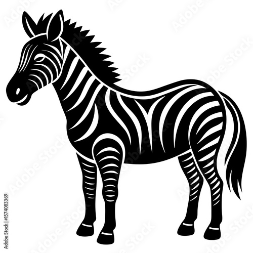 zebra vector illustration