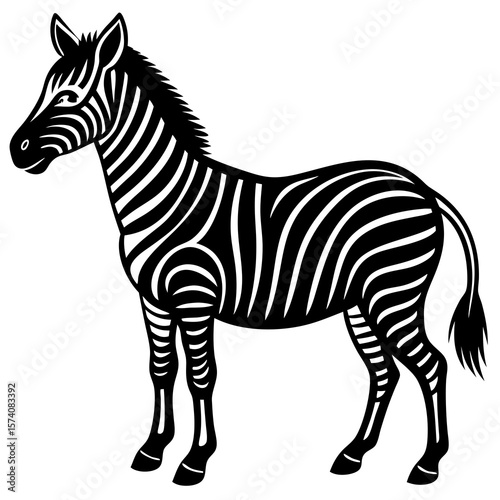 zebra vector illustration