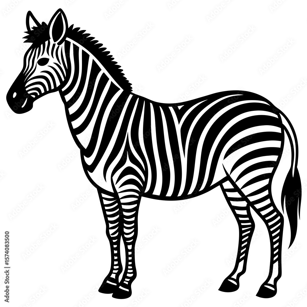 Obraz premium zebra vector illustration
