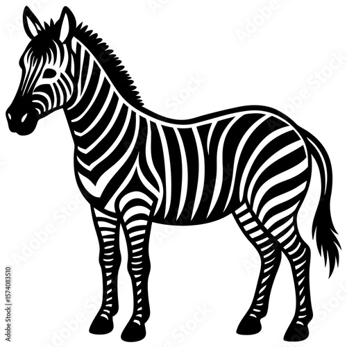 zebra vector illustration