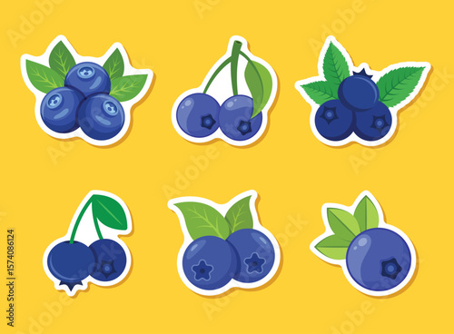 Blueberry fruit paper sticker icon set collection in flat style. Bilberry vector illustration on isolated background. Sweet berry sign business concept.