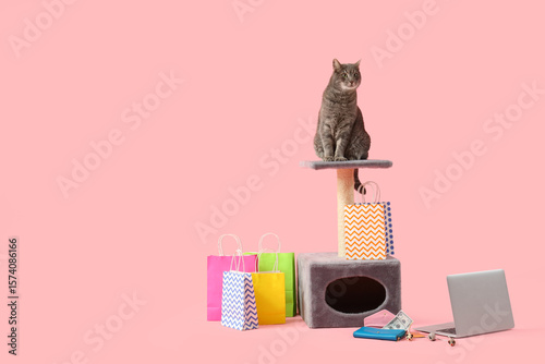 Cute cat with shopping bags...