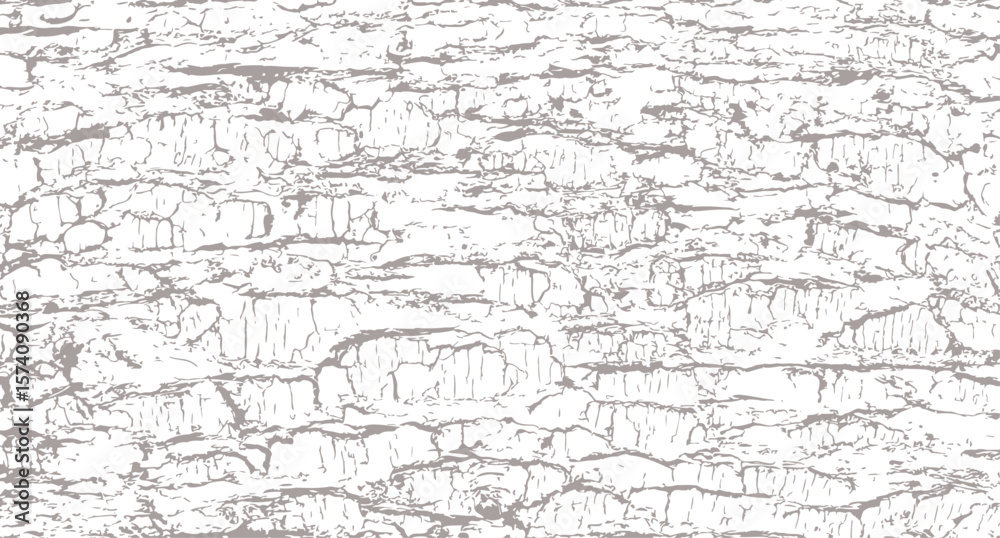 Fototapeta premium Tree bark texture