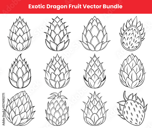 Dragon Fruit Outline Set Exotic Fruit Illustration for Designers, Coloring Books