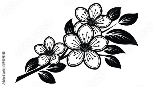 Stylized black and white cherry blossom branch with leaves vector illustration