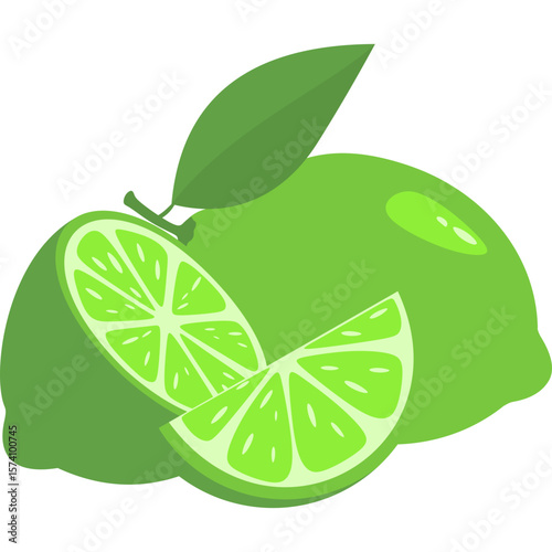 Lime Fruit Illustration