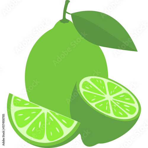 Lime Fruit Illustration