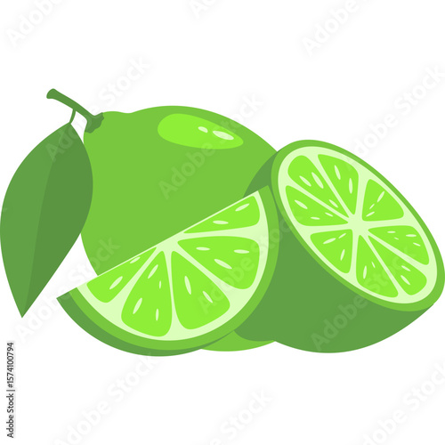 Lime Fruit Illustration