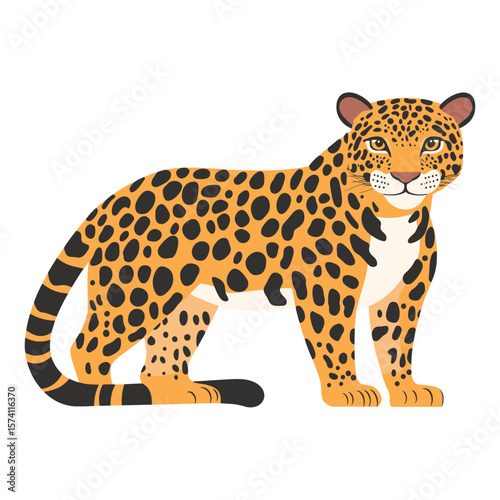 Illustration of Jaguar wildlife leopard animal vector