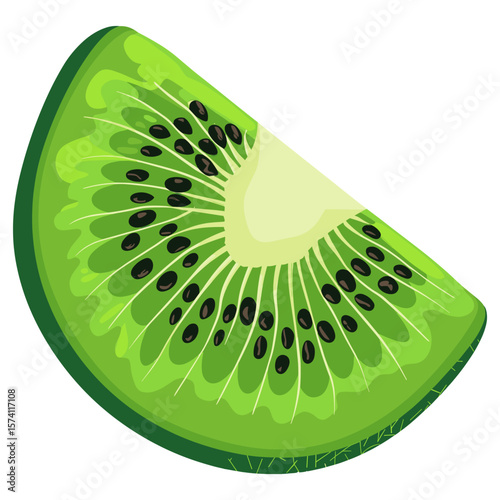 Kiwi illustration produce fruit vector